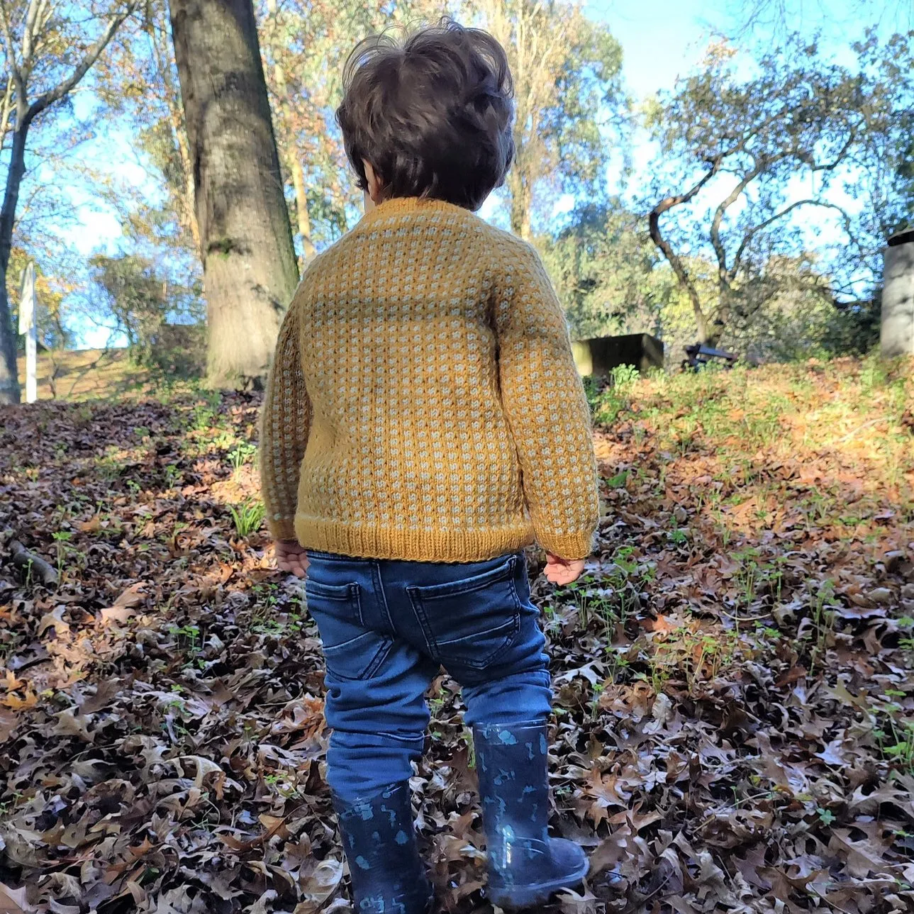 Serrana kids sweater kit